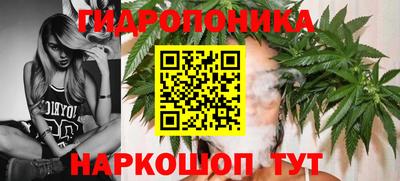 прущая мука Донецк