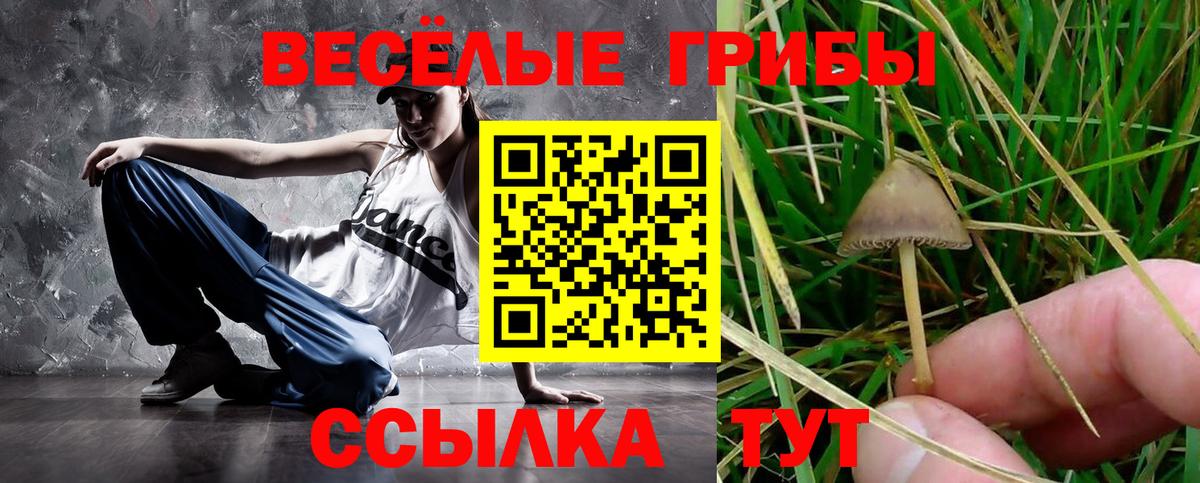 Псилоцибиновые грибы Cubensis  Вход с VPN  Кашира 