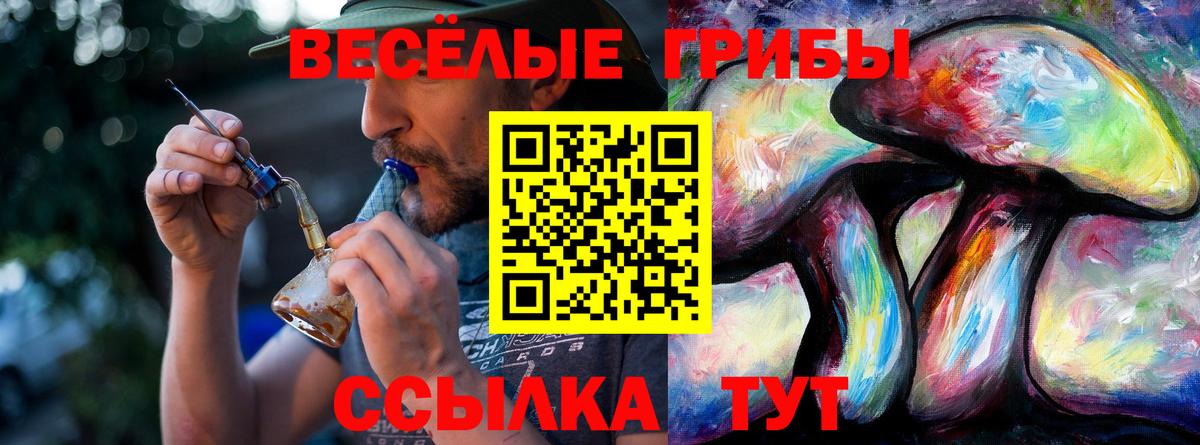 Галлюциногенные грибы Magic Shrooms Кашира